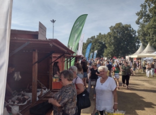 Na zdjęciu widać drewniane domki wystawnneicze, w których znajdują się produkty tradycyjne, lokalne oraz regionalne.